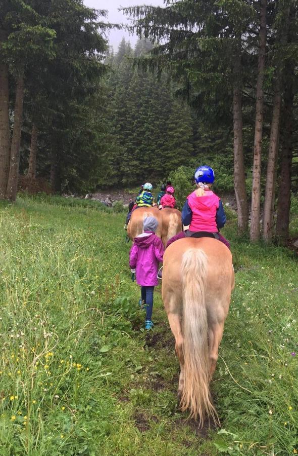 Apartmán Ferienraich Arzl im Pitztal